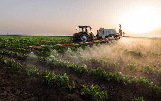 Best Pest Control Treatment  in Norton, VA