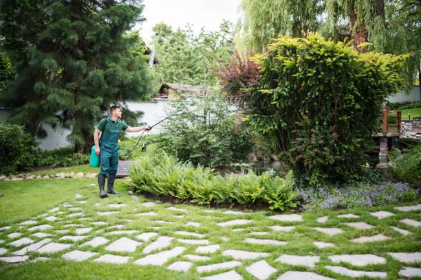 Pest Prevention Services in Norton, VA