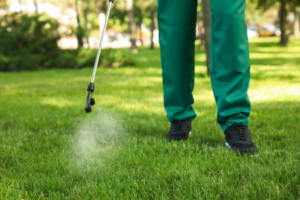 Best Pest Prevention Services  in Norton, VA