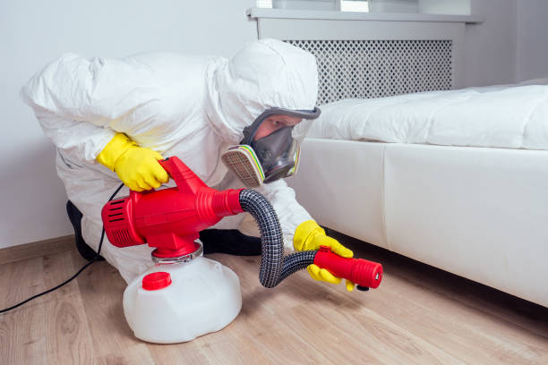 Best Local Pest Control Services  in Norton, VA