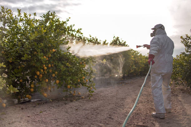 Best Mosquito Control Services  in Norton, VA