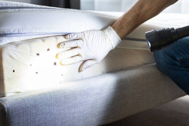 Best Emergency Pest Control  in Norton, VA
