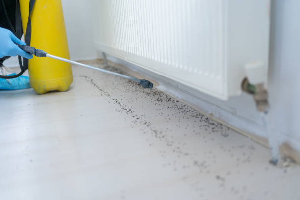 Best Residential Pest Control  in Norton, VA