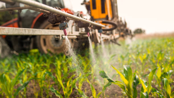 Best Pest Removal Services  in Norton, VA